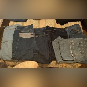 Women’s 28 Plus Jeans/Pants
